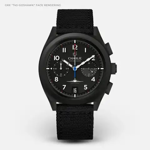 CHARLIE - Paris GRX - T45 Goshawk