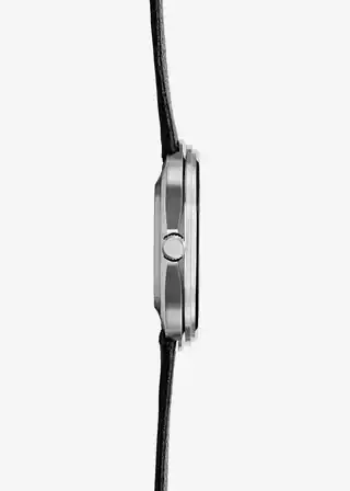 Side profile of the case and crown.
