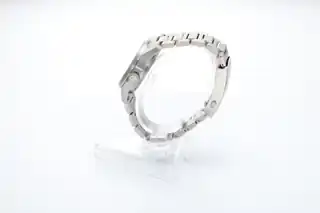 Side view of the case and bracelet.