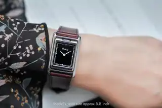 The black face on a wrist the maker labels approximately 5.8 inches. This is Vario’s photograph, not our wear test.